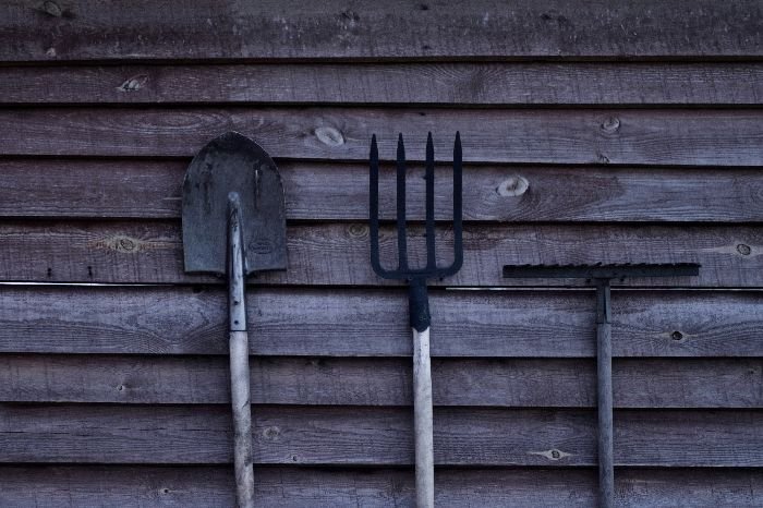 A shovel, pitchfork, and rake against a rustic wooden wall, representing the essential tools for gardening and the diverse types of rakes available for different tasks in the garden.