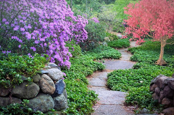 Serene garden pathway incorporating natural stone and surrounded by lush foliage and vibrant flowers, exemplifying the harmony of durable materials and aesthetic design in landscape architecture.