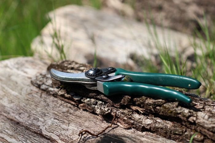 A pair of gardening pruning shears resting on an old wooden log, symbolizing the gardener's essential tool for precise cutting and plant care.