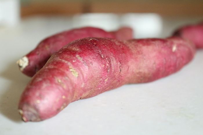 Close-up image of a red sweet potato on a light surface, highlighting its unique color and texture, representative of the tuber's mature stage in the growth cycle.