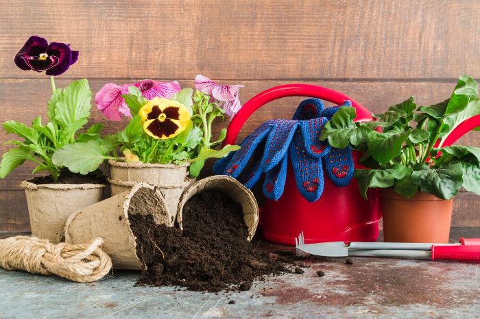 Colorful gardening setup with pots, pansies, and tools, showcasing innovative container features such as adjustable heights and easy-to-handle designs, enhancing usability for gardeners with physical challenges.