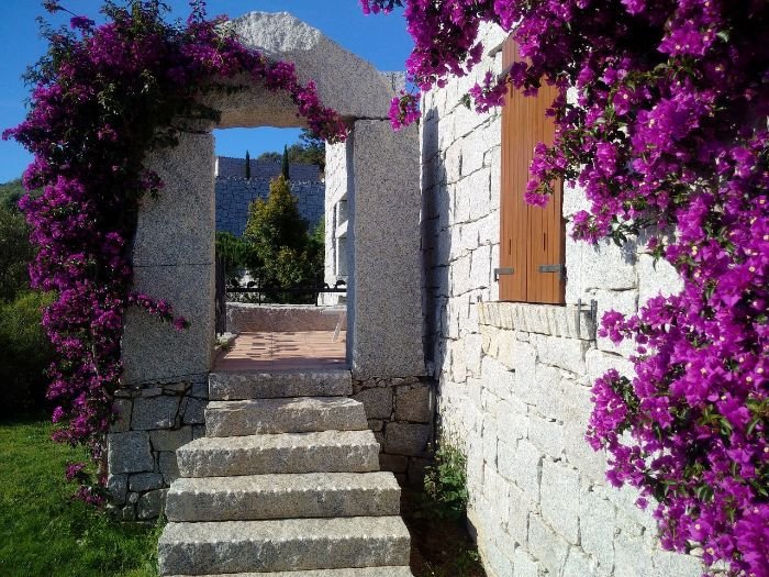 Stone archway adorned with vibrant purple flowers leading into a serene garden, illustrating the importance of adapting plant selections and garden care to ensure plant health and garden vibrancy over time.