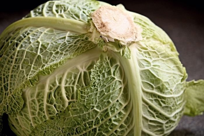 Detailed view of a fresh cabbage head, emphasizing the textured green leaves rich in antioxidants, highlighting kale's significant role in providing essential nutrients and health benefits.