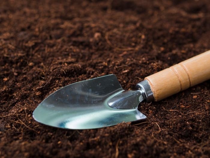 A sturdy garden trowel with a wooden handle lying on rich soil, emphasizing the importance of choosing trowels made of strong, rust-resistant materials like stainless steel or carbon steel for durability and reliable performance.