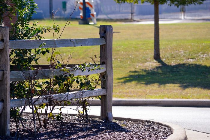 A garden area with wooden fencing and mulch spread around the base of plants, demonstrating the best practices for applying mulch to retain soil moisture and protect plants from excessive heat.