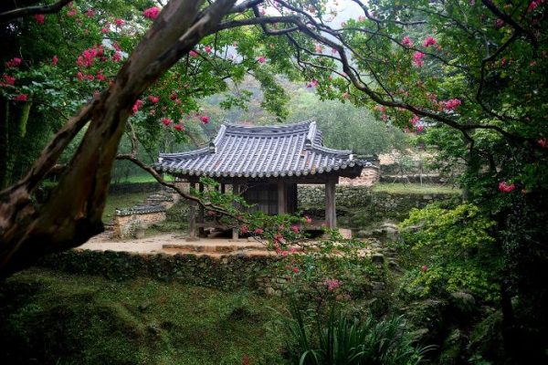 A serene garden scene with a traditional pavilion surrounded by lush greenery and shade, illustrating an ideal setting for growing shade-tolerant vegetables in low-light gardens.