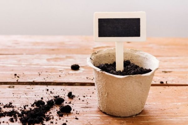 Soil Mix for Container Gardening – Keep Pots Light and Roots Active A small pot filled with soil and a blank plant label, set on a wooden surface, representing the concept of choosing the best soil mixes for container gardening.