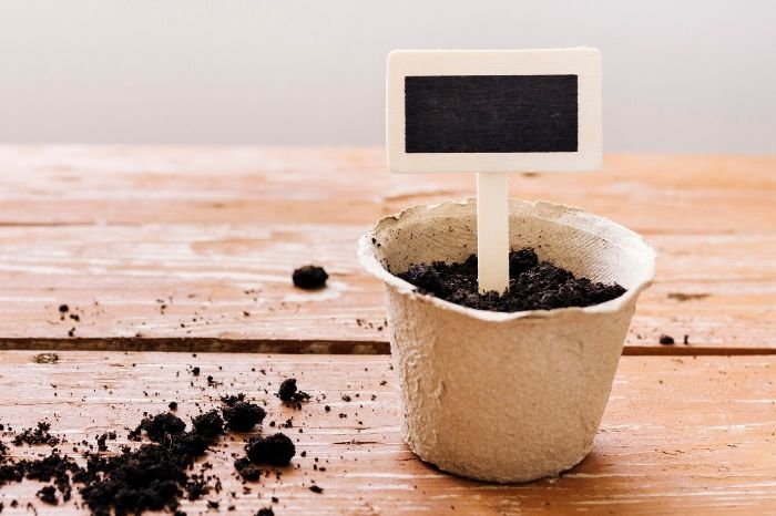 A small pot filled with soil and a blank plant label, set on a wooden surface, representing the concept of choosing the best soil mixes for container gardening.