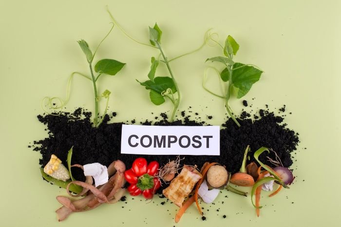 Compost materials and young plants arranged on soil with the word "COMPOST," illustrating the benefits of adding compost to improve soil health and support plant growth.