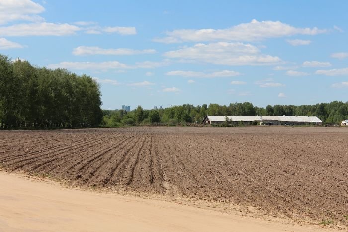 A wide, freshly plowed field with a barn in the distance, representing the core principles of organic vegetable farming, including soil health, environmental protection, and avoiding harmful chemicals.