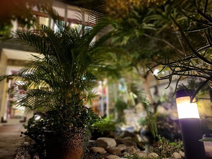 Beautifully lit garden area at night, demonstrating design principles for creating an aesthetically pleasing garden lighting layout.