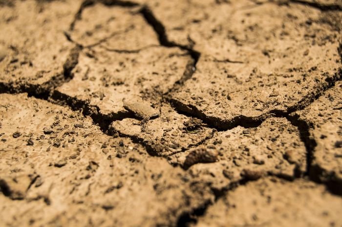 Close-up of dry, cracked soil illustrating the impact of chronic underwatering on soil structure and health, highlighting the need for consistent watering practices to maintain soil integrity and support plant growth.