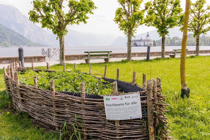 A picturesque raised garden bed with a woven fence in a scenic park, illustrating the environmental and economic benefits of raised bed gardening, including eco-friendliness and cost-effectiveness.