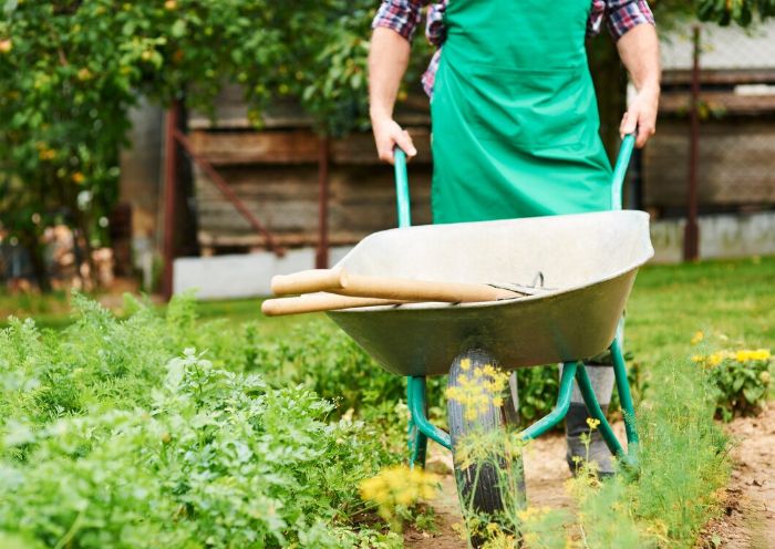 Gardener in a green apron pushing a wheelbarrow with tools, illustrating the importance of ergonomic handle design and grips for comfort and control during gardening tasks.