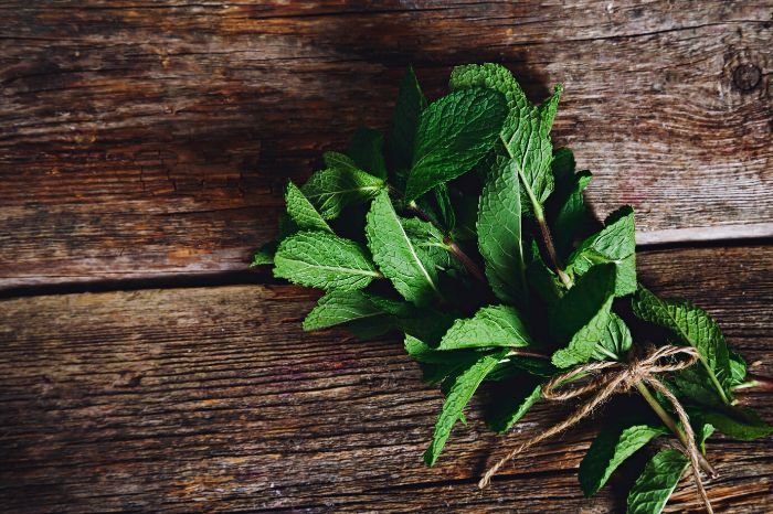 A bundle of freshly harvested mint leaves tied with twine on a wooden surface, illustrating proper pruning and harvesting techniques for healthy growth.