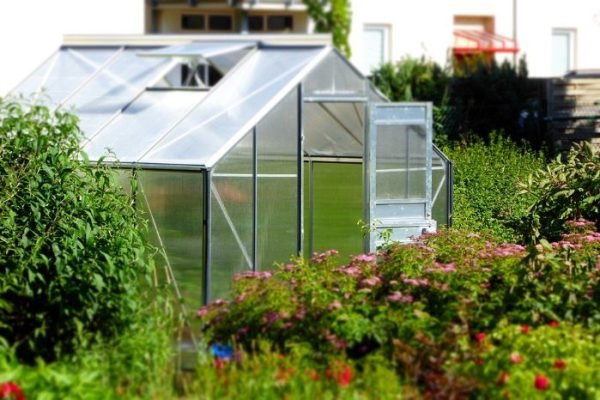 A greenhouse surrounded by lush green plants and flowers, illustrating the concept of greenhouse gardening.