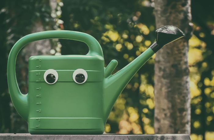 A large green watering can with a quirky design and googly eyes, illustrating the use of large watering cans (6+ liters) for bigger gardens or spaces to minimize refilling.