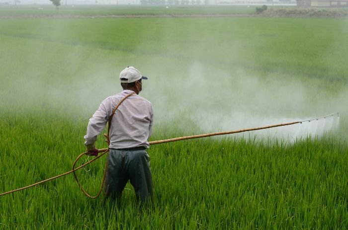 A farmer spraying liquid fertilizer onto a lush green field, illustrating the quick nutrient availability and immediate benefits of liquid fertilizers for plant growth and addressing nutrient deficiencies.