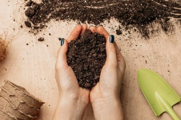 Managing Soil Health for Disease Prevention Close-up of hands holding rich, healthy soil with a garden trowel nearby, highlighting the importance of maintaining soil health for effective disease prevention in gardening.