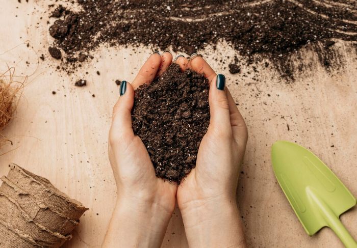 Close-up of hands holding rich, healthy soil with a garden trowel nearby, highlighting the importance of maintaining soil health for effective disease prevention in gardening.