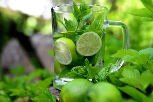 A glass of water with mint leaves and lime slices, highlighting the topic of mint varieties and their growth habits.