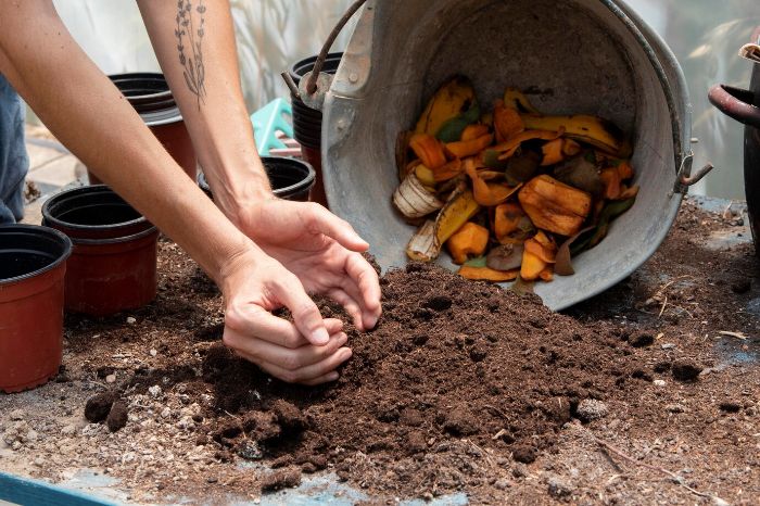 A person checking the moisture and temperature levels of a compost pile, with kitchen scraps and soil, illustrating the importance of maintaining proper moisture and heat for effective composting.