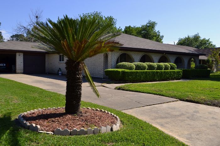 A neatly maintained garden with a palm tree and well-trimmed hedges, illustrating the benefits of organic mulches like wood chips and grass clippings that contribute nutrients to the soil.