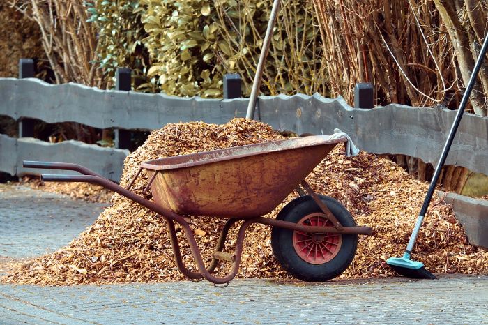 A wheelbarrow filled with wood chips beside a large pile of organic mulch, demonstrating the use of organic materials like wood chips for protecting garden plants from heat.