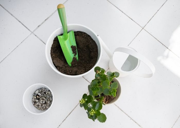 Gardening tools and materials, including a green trowel, a watering can, and potted plants, used for advanced tips in perfecting soil mixes.