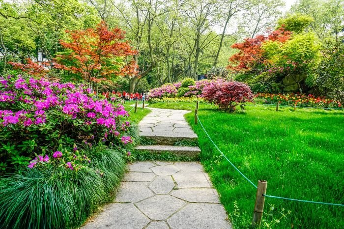 A beautifully landscaped garden with a variety of colorful plants and trees, illustrating the benefits of planting a diverse range of species to support healthy ecosystems and biodiversity.