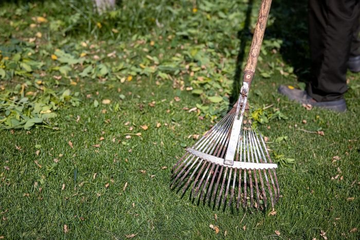 Close-up of a person using a rake on grass, emphasizing care and maintenance tips for extending the lifespan of garden tools.