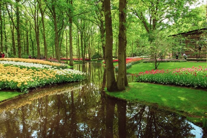 A picturesque garden with a reflective water surface and vibrant flower beds, illustrating how reflective surfaces like water or mirrors can increase light and enhance the growth of shade-tolerant vegetables.