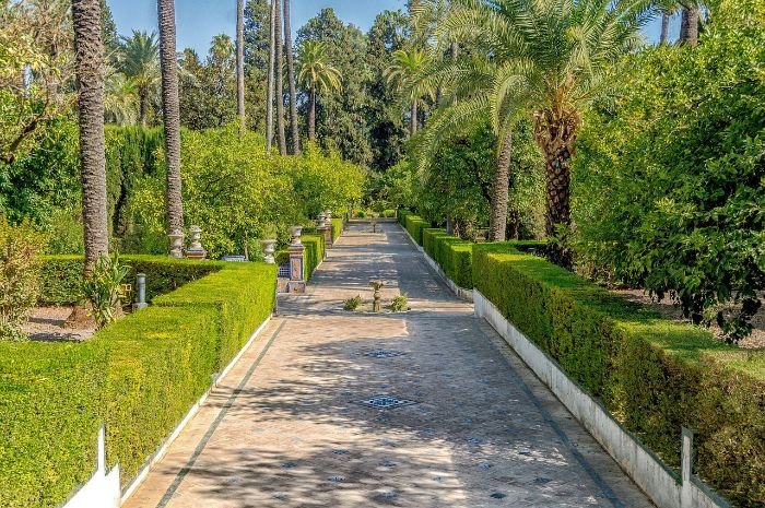 Formal garden pathway lined with lush greenery and tall palm trees, demonstrating the importance of selecting plants that are well-suited to local climate conditions for a successful and sustainable garden.