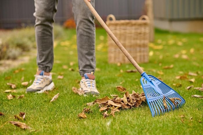 Person using a blue leaf rake to gather dry leaves on a grassy lawn, illustrating the importance of choosing the right tool for efficient yard cleanup.
