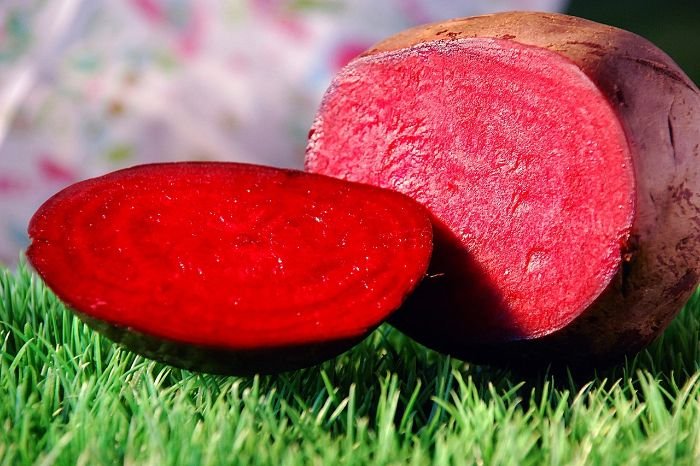 A vibrant red sliced beet resting on grass, vividly illustrating the rich texture and color, perfect for determining the ideal time for harvesting beets in a home garden.