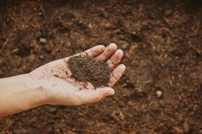 A hand holding a small amount of soil, illustrating soil texture and composition, and how different soil types affect water retention and gardening needs.