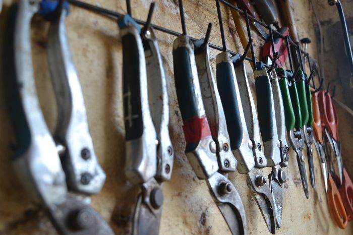 Various pruning tools hanging on a wall, including bypass and anvil pruners, illustrating the importance of specialized pruning tools for different gardening tasks.