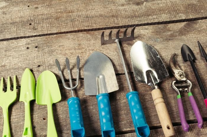 Various types of garden trowels and tools laid out on a wooden surface, illustrating the different trowels available for tasks like moving plants, digging, and weeding in gardening.