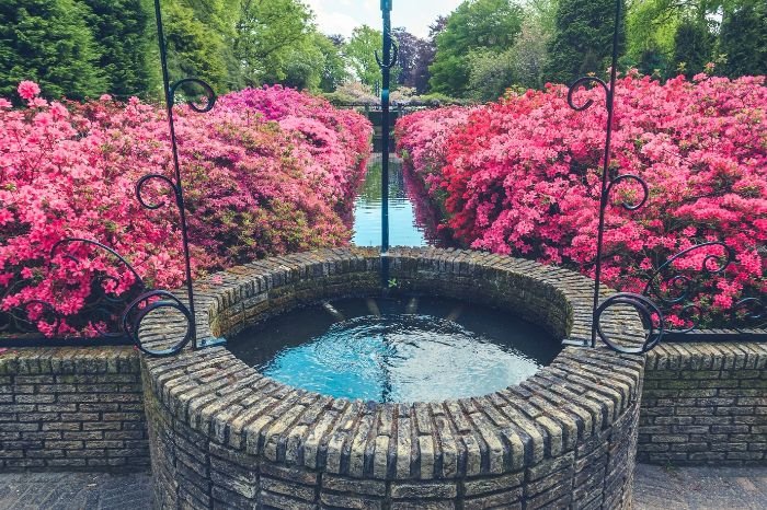 Tranquil garden scene featuring a stone water well surrounded by lush pink azalea bushes along a reflective water canal, illustrating the calming and therapeutic effects of water features in healing gardens.