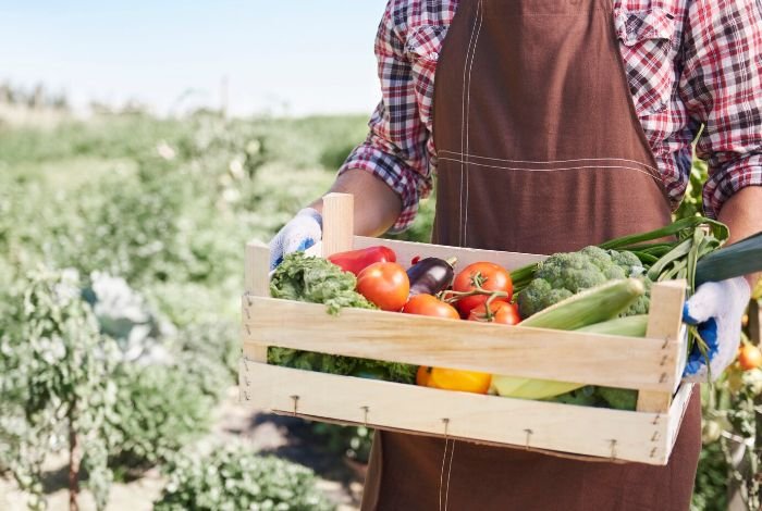 A person in a brown apron holding a wooden crate filled with fresh, colorful vegetables, representing the principles and practices of growing organic vegetables.