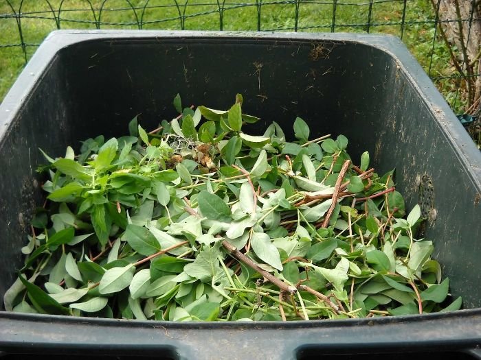 A compost bin filled with green garden waste, illustrating the benefits of having the right compost bin for maintaining a healthy garden and contributing to a greener planet.