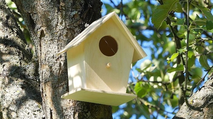 A birdhouse attached to a tree, showcasing the setup of habitats and nesting sites to attract helpful insects and animals to a garden.
