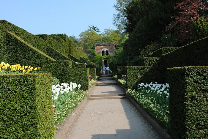 Beautifully designed garden with manicured hedges, vibrant tulips, and a central pathway leading to an ornate building, highlighting the benefits of a well-planned garden space.