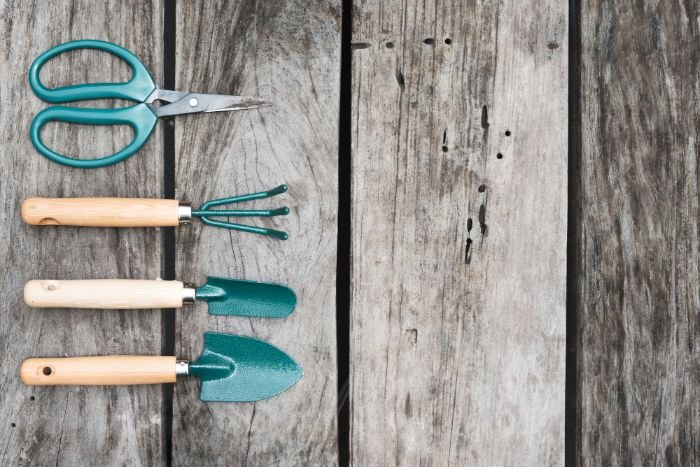 A set of gardening tools including scissors, a hand rake, and trowels neatly arranged on a wooden surface, illustrating the essential items for a January garden checklist to start the year right.