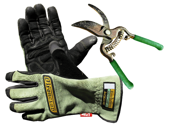 A pair of well-maintained gardening gloves alongside pruning shears, illustrating the importance of proper maintenance and care to ensure durability and effectiveness during gardening tasks.