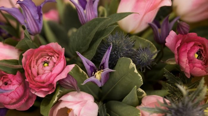 A close-up of various flowers thriving under different light conditions, illustrating the importance of matching flowers to the appropriate light in your garden.