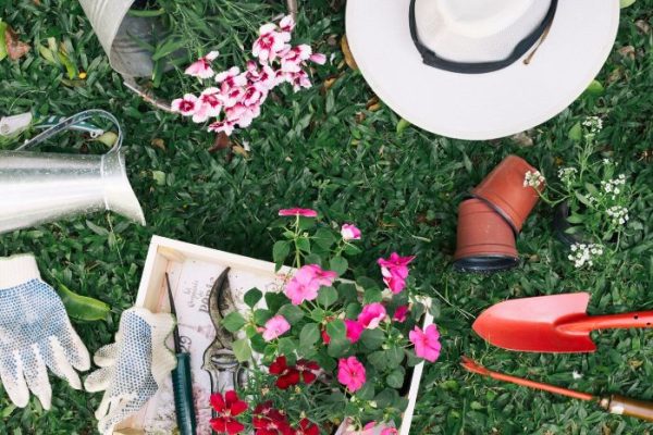 Gardening tools, flowers, and a hat laid out on grass, representing tasks and tips for managing growth and health in a garden during May.