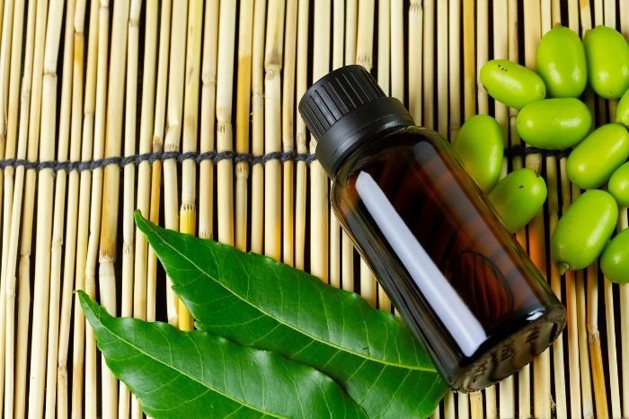 A bottle of neem oil placed on a bamboo mat with neem leaves and neem fruits, illustrating its use as an effective treatment for aphid control.