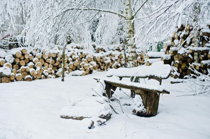 A snowy garden scene with a wooden bench and a stack of firewood, illustrating the importance of completing essential garden tasks during January to prepare for the upcoming gardening season.