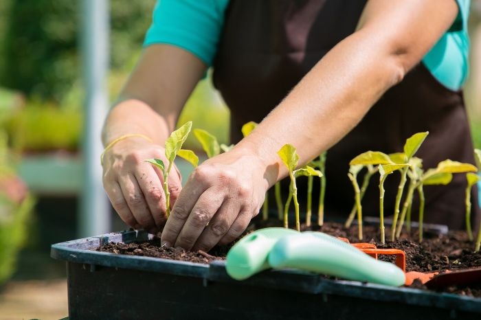 A variety of gardening tools, flowers, and a hat laid out on grass, illustrating key activities for maintaining growth and health in a garden during the month of May.